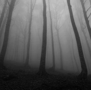 silvana-amicone-aCHBgtcE7D8-unsplash-1