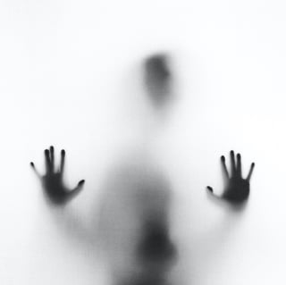 stefano-pollio-ZC0EbdLC8G0-unsplash